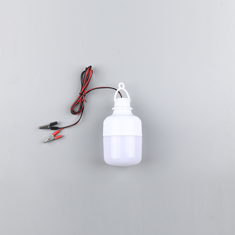 High-transparency PC light-emitting cover LED bulb-dc12v 24v