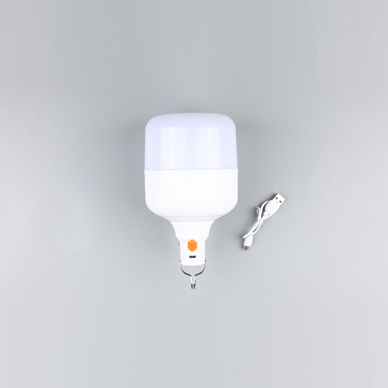 LED bulb for indoor lighting 12v 24v