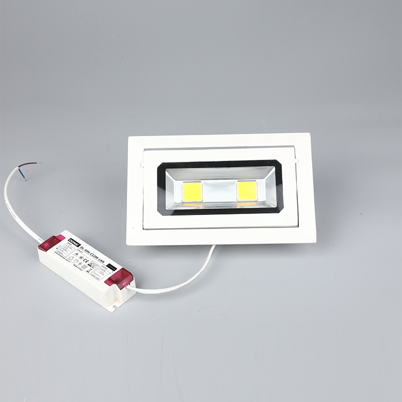 Waterproof LED flood light